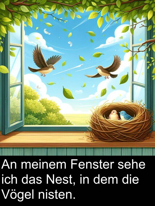 Fenster: An meinem Fenster sehe ich das Nest, in dem die Vögel nisten.