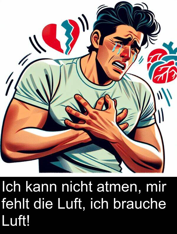 fehlt: Ich kann nicht atmen, mir fehlt die Luft, ich brauche Luft!