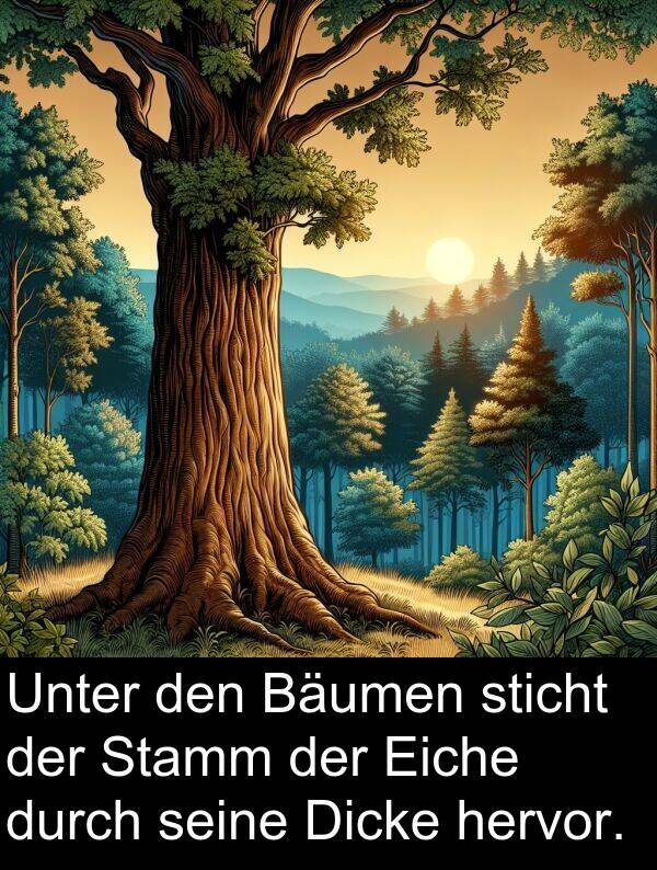 Unter: Unter den Bäumen sticht der Stamm der Eiche durch seine Dicke hervor.