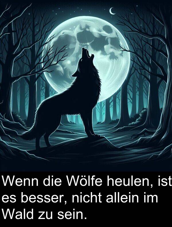 Wald: Wenn die Wölfe heulen, ist es besser, nicht allein im Wald zu sein.