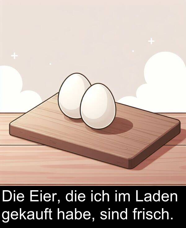 frisch: Die Eier, die ich im Laden gekauft habe, sind frisch.