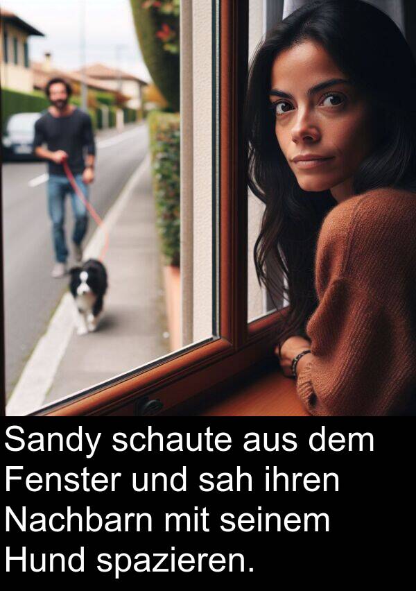 sah: Sandy schaute aus dem Fenster und sah ihren Nachbarn mit seinem Hund spazieren.