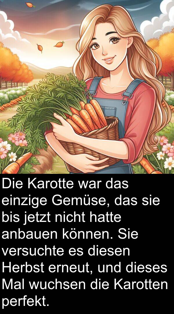 jetzt: Die Karotte war das einzige Gemüse, das sie bis jetzt nicht hatte anbauen können. Sie versuchte es diesen Herbst erneut, und dieses Mal wuchsen die Karotten perfekt.