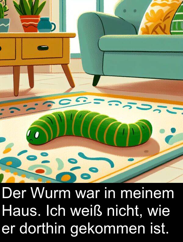 dorthin: Der Wurm war in meinem Haus. Ich weiß nicht, wie er dorthin gekommen ist.