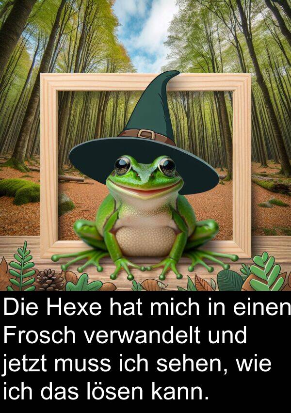 jetzt: Die Hexe hat mich in einen Frosch verwandelt und jetzt muss ich sehen, wie ich das lösen kann.