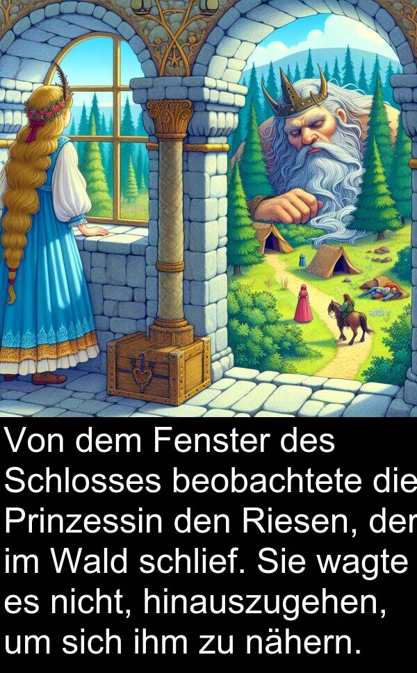 wagte: Von dem Fenster des Schlosses beobachtete die Prinzessin den Riesen, der im Wald schlief. Sie wagte es nicht, hinauszugehen, um sich ihm zu nähern.