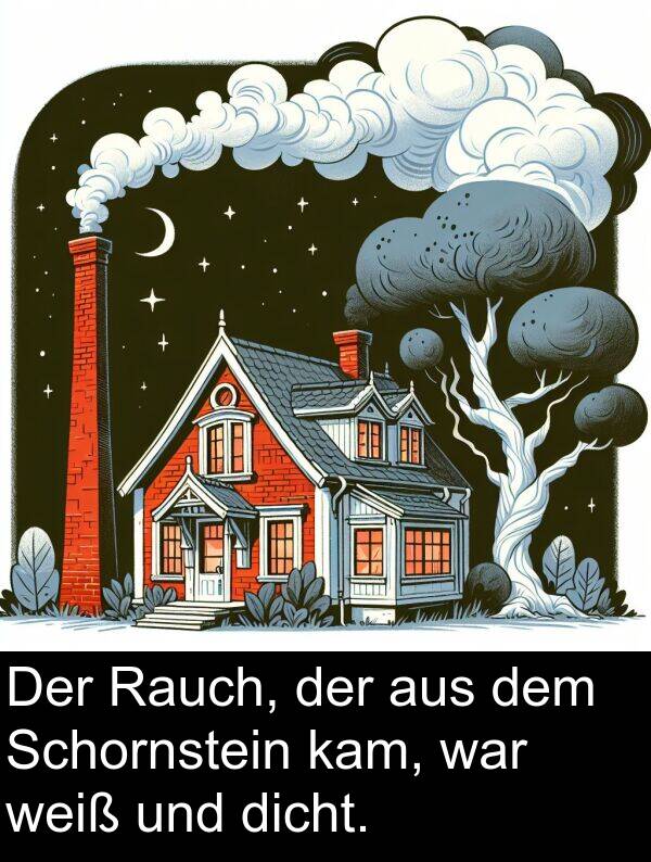 Rauch: Der Rauch, der aus dem Schornstein kam, war weiß und dicht.