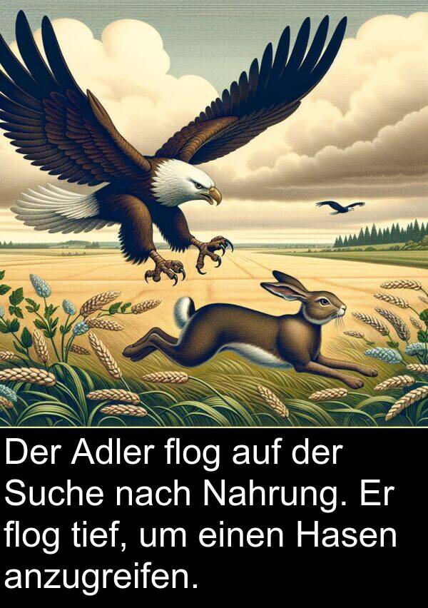 flog: Der Adler flog auf der Suche nach Nahrung. Er flog tief, um einen Hasen anzugreifen.