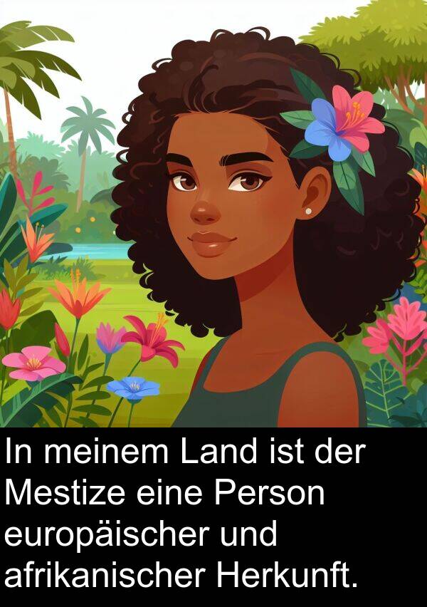 Mestize: In meinem Land ist der Mestize eine Person europäischer und afrikanischer Herkunft.