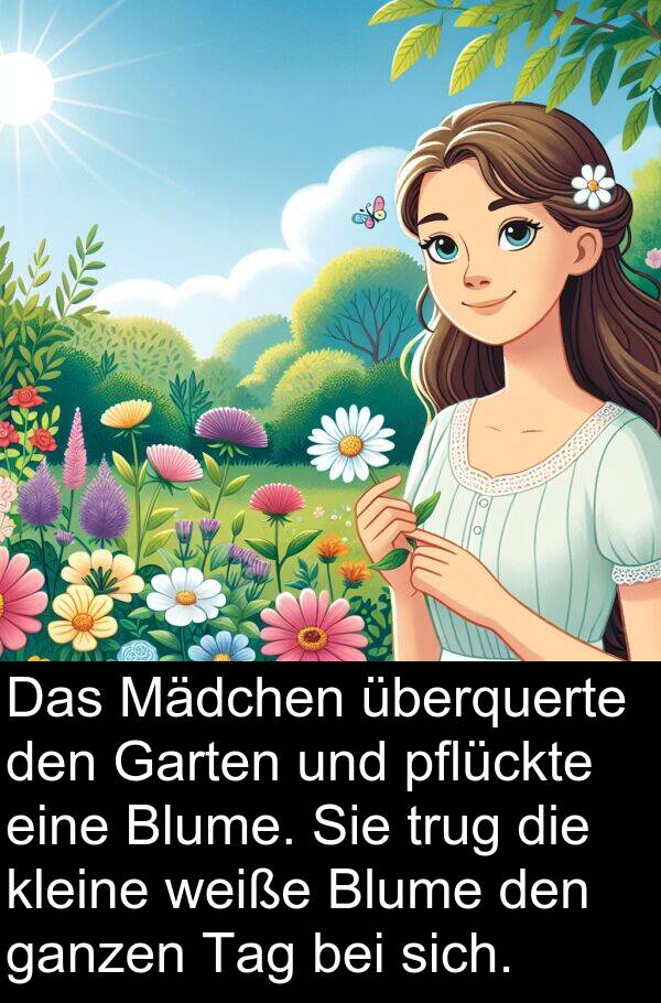 überquerte: Das Mädchen überquerte den Garten und pflückte eine Blume. Sie trug die kleine weiße Blume den ganzen Tag bei sich.