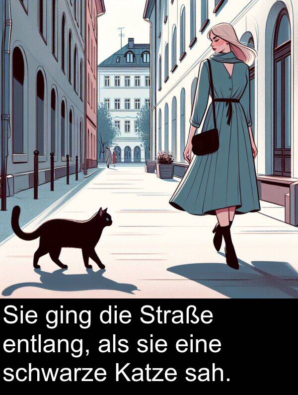 sah: Sie ging die Straße entlang, als sie eine schwarze Katze sah.