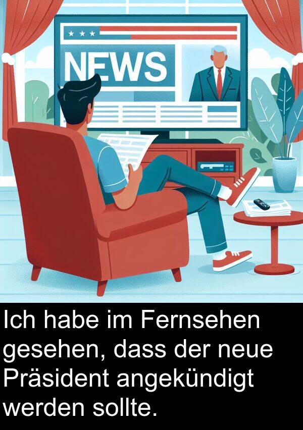 Fernsehen: Ich habe im Fernsehen gesehen, dass der neue Präsident angekündigt werden sollte.