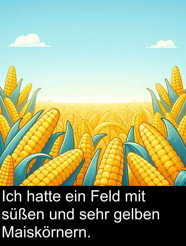 Feld: Ich hatte ein Feld mit süßen und sehr gelben Maiskörnern.
