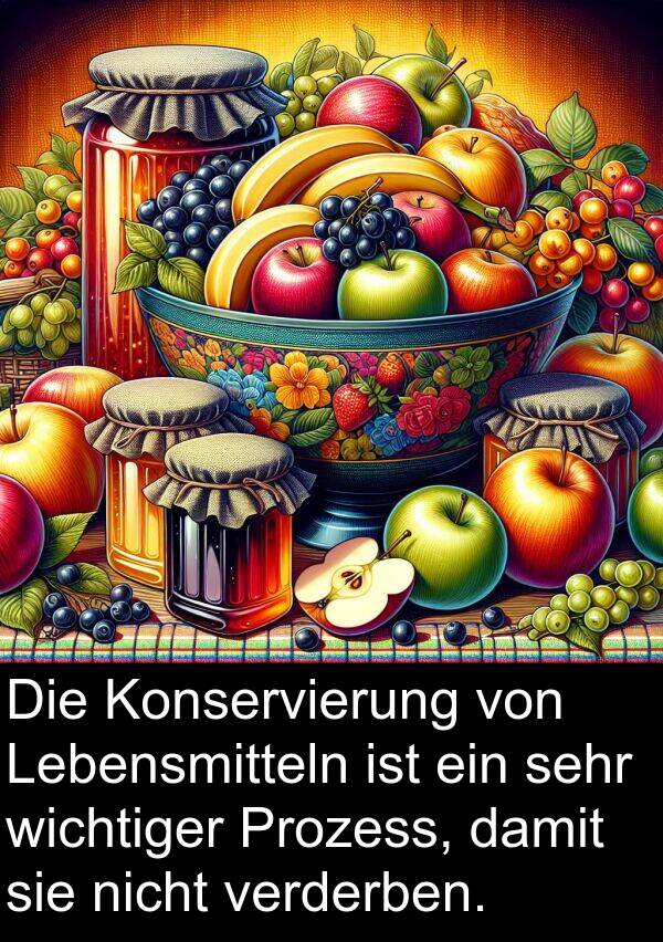 Prozess: Die Konservierung von Lebensmitteln ist ein sehr wichtiger Prozess, damit sie nicht verderben.