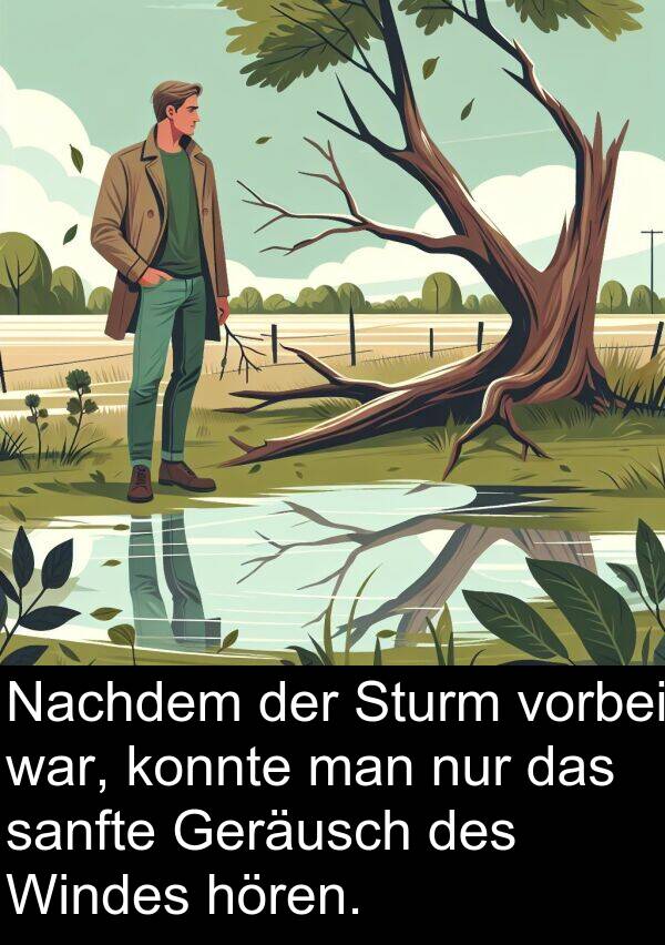 man: Nachdem der Sturm vorbei war, konnte man nur das sanfte Geräusch des Windes hören.