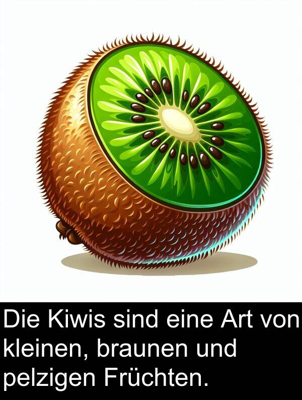 Früchten: Die Kiwis sind eine Art von kleinen, braunen und pelzigen Früchten.