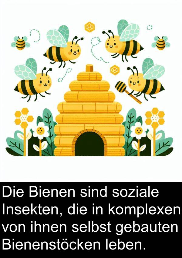 gebauten: Die Bienen sind soziale Insekten, die in komplexen von ihnen selbst gebauten Bienenstöcken leben.