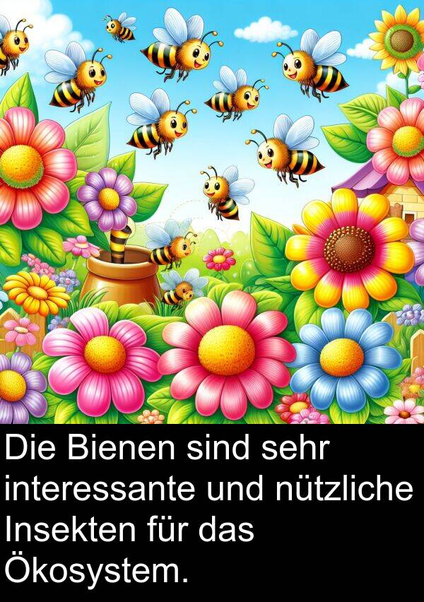 Bienen: Die Bienen sind sehr interessante und nützliche Insekten für das Ökosystem.