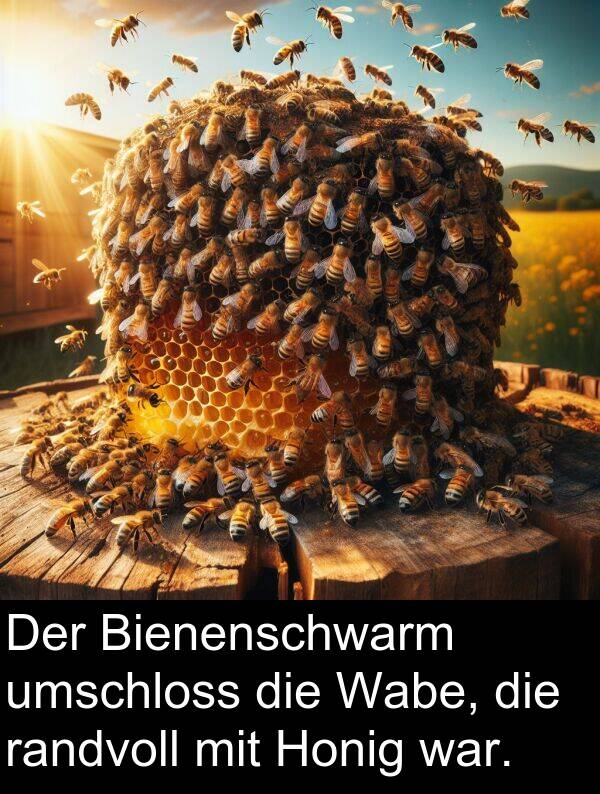 Honig: Der Bienenschwarm umschloss die Wabe, die randvoll mit Honig war.