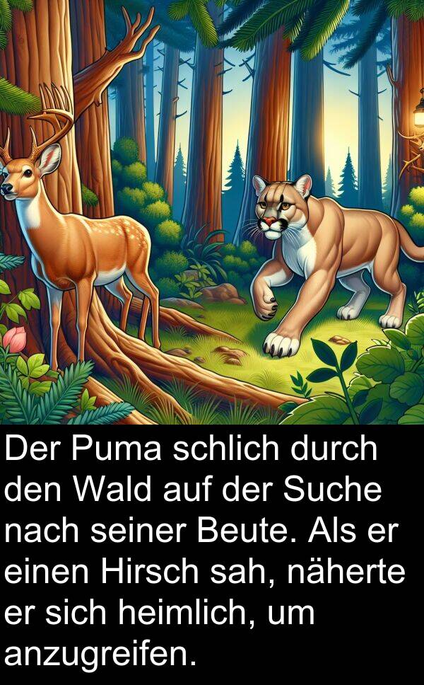 Wald: Der Puma schlich durch den Wald auf der Suche nach seiner Beute. Als er einen Hirsch sah, näherte er sich heimlich, um anzugreifen.