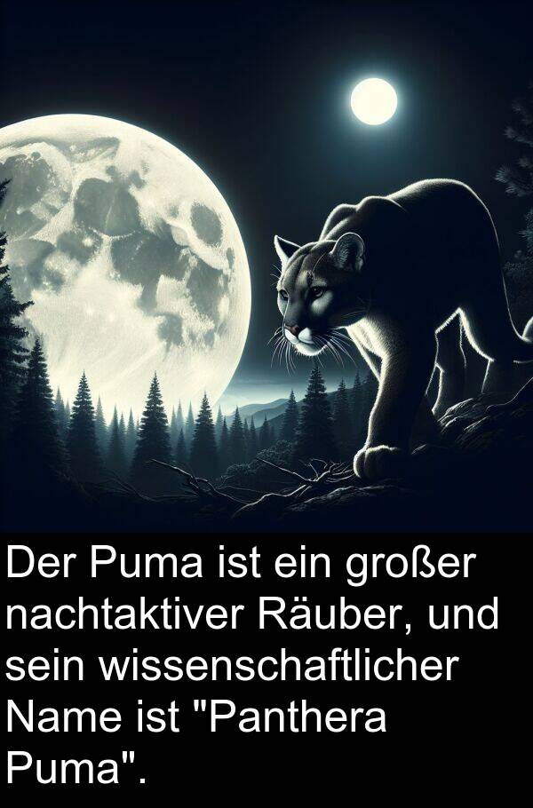 nachtaktiver: Der Puma ist ein großer nachtaktiver Räuber, und sein wissenschaftlicher Name ist "Panthera Puma".