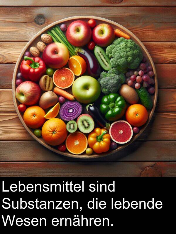 Substanzen: Lebensmittel sind Substanzen, die lebende Wesen ernähren.