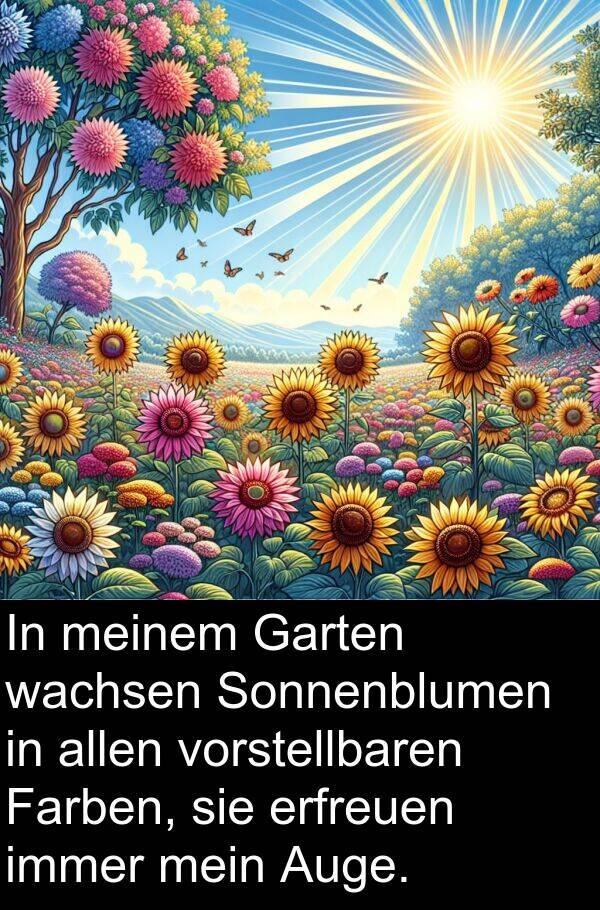 Farben: In meinem Garten wachsen Sonnenblumen in allen vorstellbaren Farben, sie erfreuen immer mein Auge.