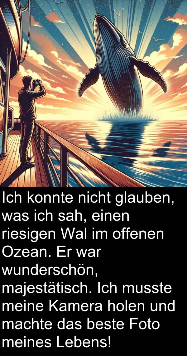 riesigen: Ich konnte nicht glauben, was ich sah, einen riesigen Wal im offenen Ozean. Er war wunderschön, majestätisch. Ich musste meine Kamera holen und machte das beste Foto meines Lebens!