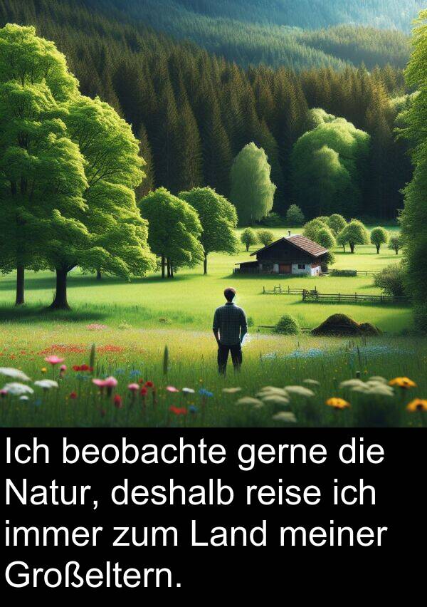 deshalb: Ich beobachte gerne die Natur, deshalb reise ich immer zum Land meiner Großeltern.