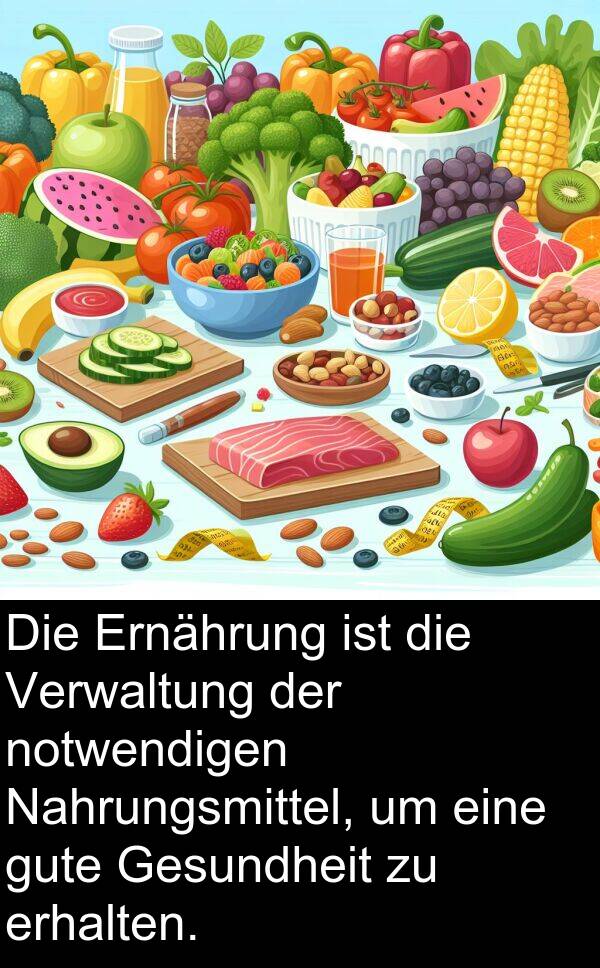 Nahrungsmittel: Die Ernährung ist die Verwaltung der notwendigen Nahrungsmittel, um eine gute Gesundheit zu erhalten.