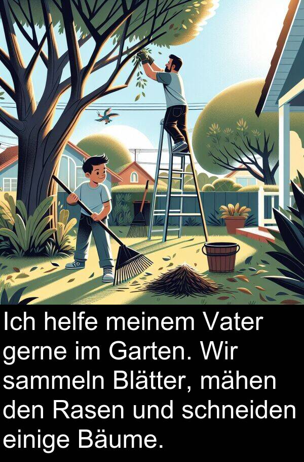 mähen: Ich helfe meinem Vater gerne im Garten. Wir sammeln Blätter, mähen den Rasen und schneiden einige Bäume.