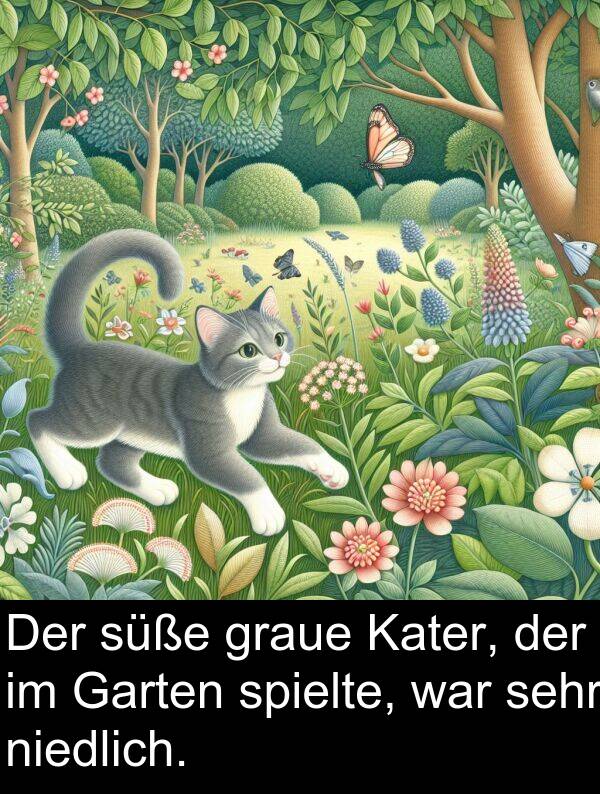 graue: Der süße graue Kater, der im Garten spielte, war sehr niedlich.