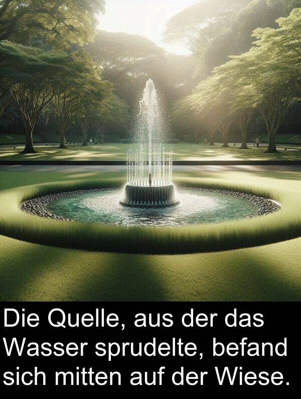 Wiese: Die Quelle, aus der das Wasser sprudelte, befand sich mitten auf der Wiese.