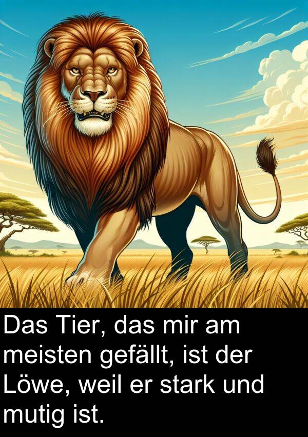 mutig: Das Tier, das mir am meisten gefällt, ist der Löwe, weil er stark und mutig ist.