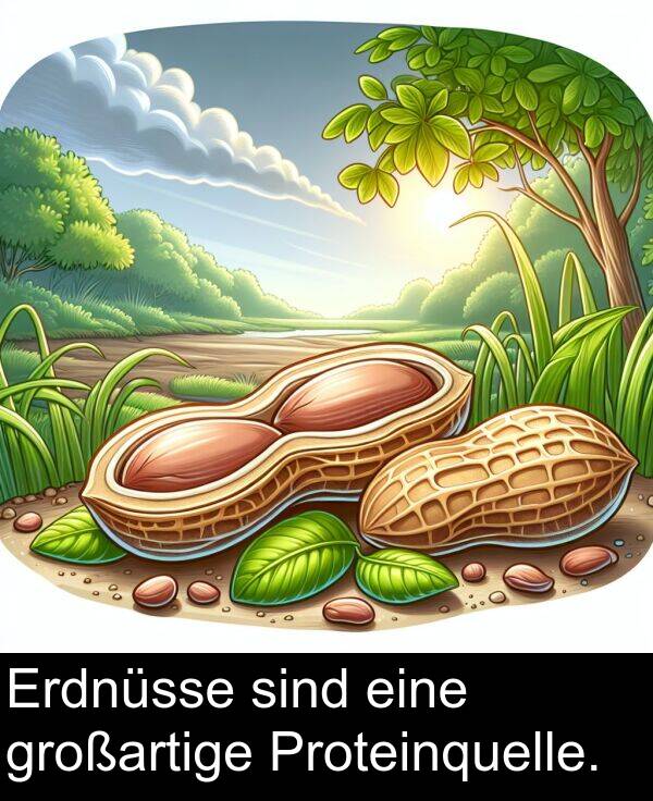 Proteinquelle: Erdnüsse sind eine großartige Proteinquelle.