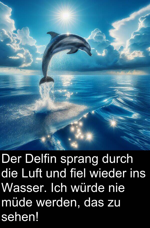 wieder: Der Delfin sprang durch die Luft und fiel wieder ins Wasser. Ich würde nie müde werden, das zu sehen!