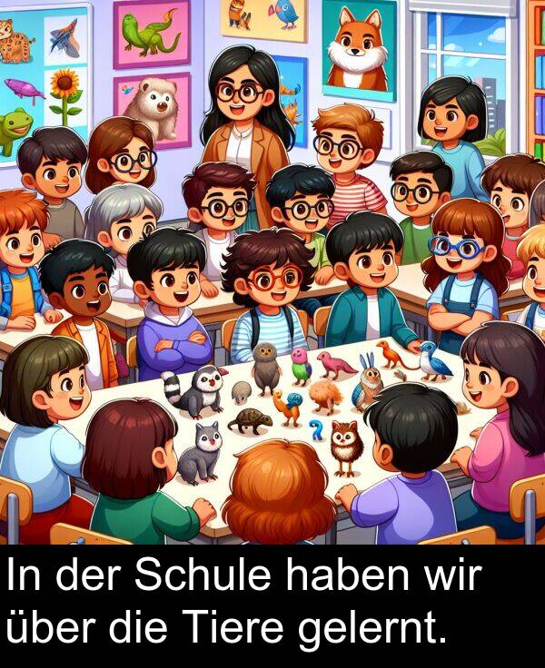 wir: In der Schule haben wir über die Tiere gelernt.