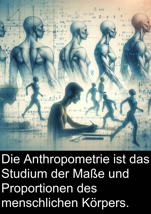 Anthropometrie: Die Anthropometrie ist das Studium der Maße und Proportionen des menschlichen Körpers.