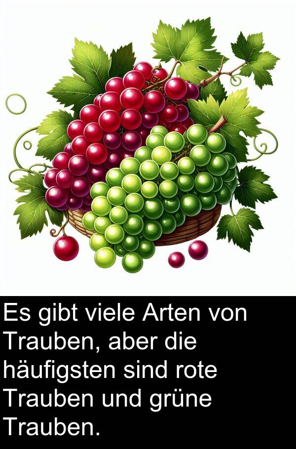 grüne: Es gibt viele Arten von Trauben, aber die häufigsten sind rote Trauben und grüne Trauben.