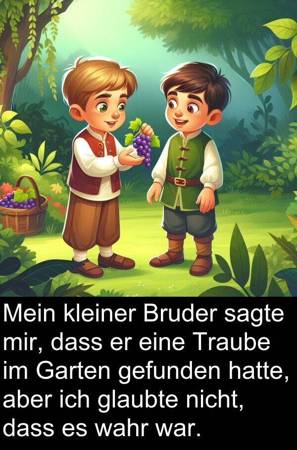 glaubte: Mein kleiner Bruder sagte mir, dass er eine Traube im Garten gefunden hatte, aber ich glaubte nicht, dass es wahr war.