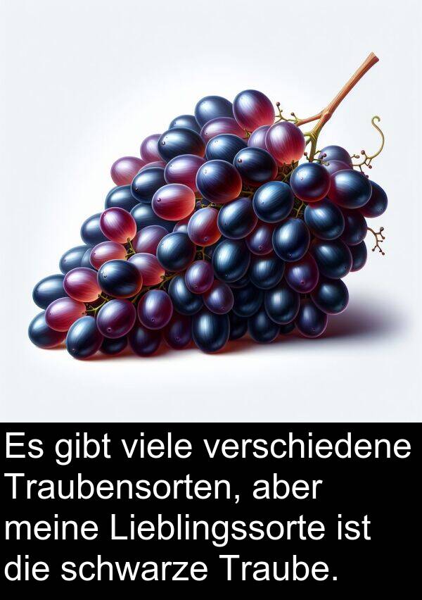 Lieblingssorte: Es gibt viele verschiedene Traubensorten, aber meine Lieblingssorte ist die schwarze Traube.