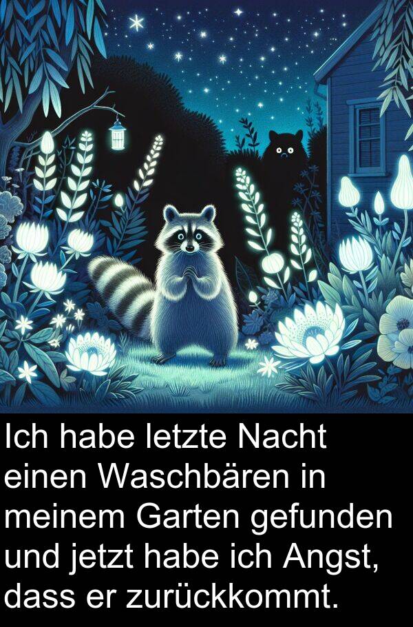 jetzt: Ich habe letzte Nacht einen Waschbären in meinem Garten gefunden und jetzt habe ich Angst, dass er zurückkommt.