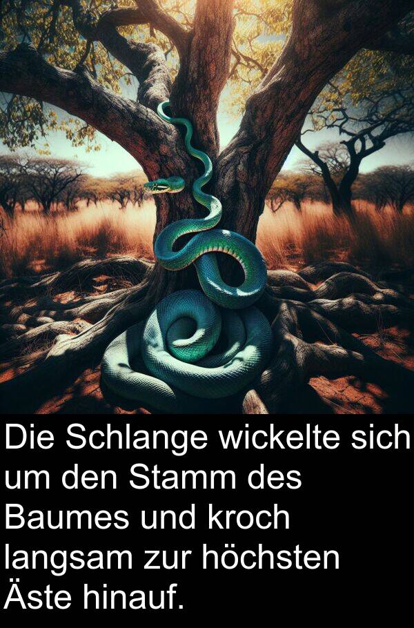 hinauf: Die Schlange wickelte sich um den Stamm des Baumes und kroch langsam zur höchsten Äste hinauf.