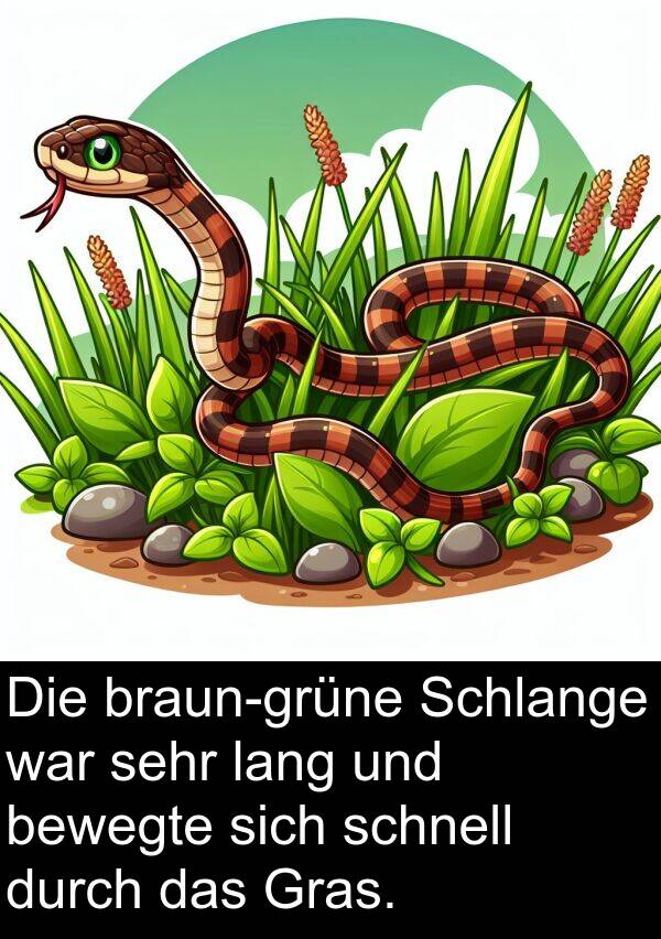 bewegte: Die braun-grüne Schlange war sehr lang und bewegte sich schnell durch das Gras.