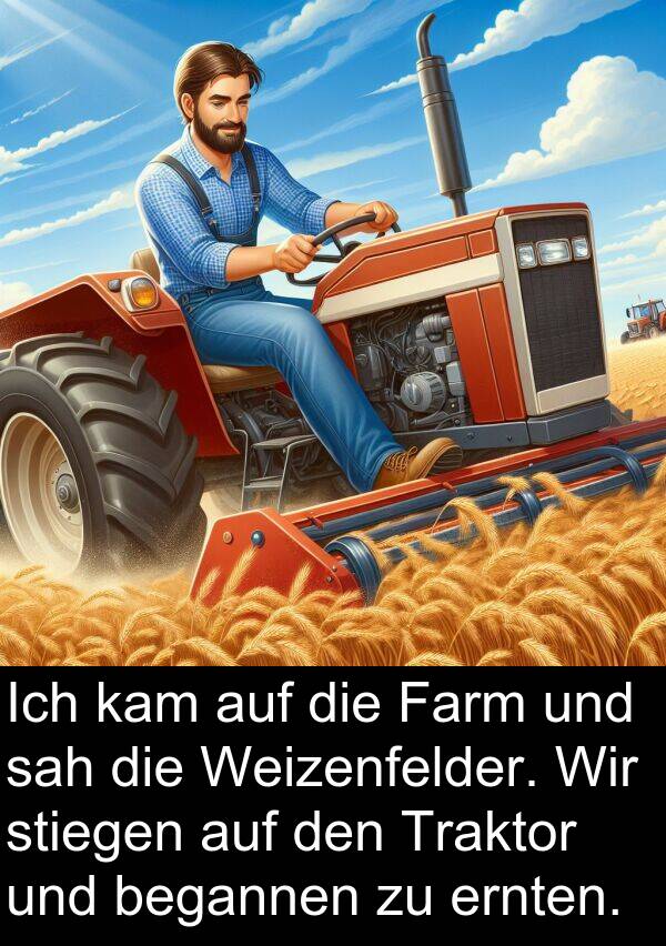 Farm: Ich kam auf die Farm und sah die Weizenfelder. Wir stiegen auf den Traktor und begannen zu ernten.