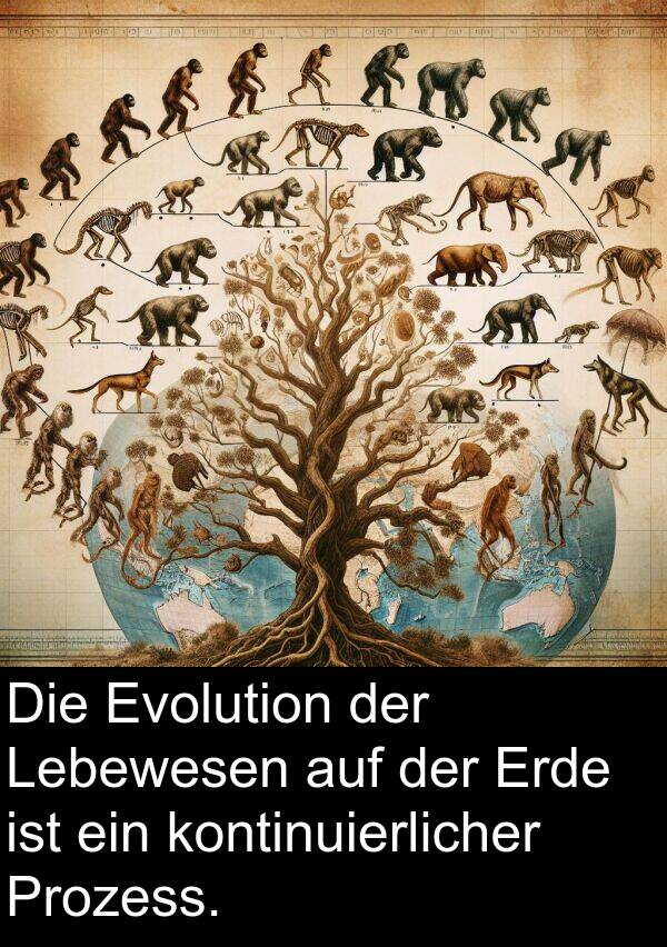 Prozess: Die Evolution der Lebewesen auf der Erde ist ein kontinuierlicher Prozess.