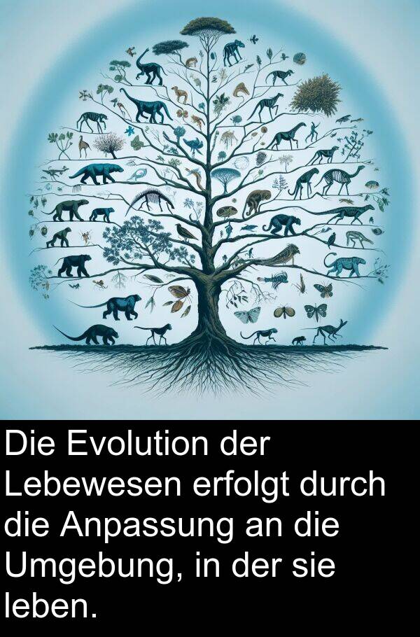 Anpassung: Die Evolution der Lebewesen erfolgt durch die Anpassung an die Umgebung, in der sie leben.