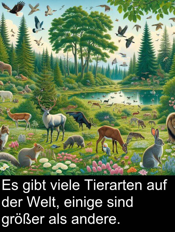 Tierarten: Es gibt viele Tierarten auf der Welt, einige sind größer als andere.
