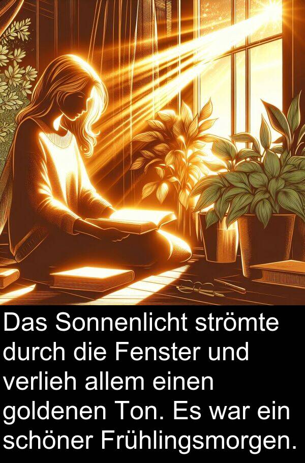 Fenster: Das Sonnenlicht strömte durch die Fenster und verlieh allem einen goldenen Ton. Es war ein schöner Frühlingsmorgen.
