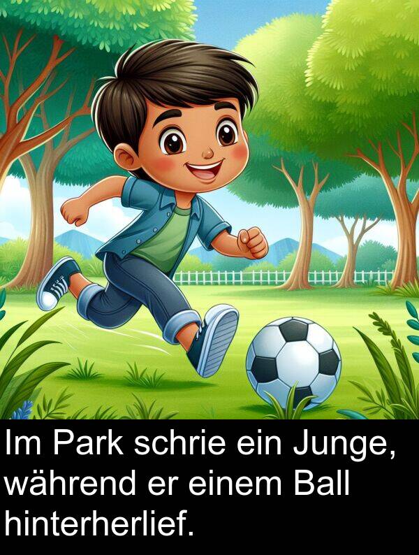 während: Im Park schrie ein Junge, während er einem Ball hinterherlief.